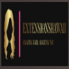 extensions-logo