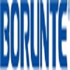 borunte-logo