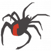 spinne